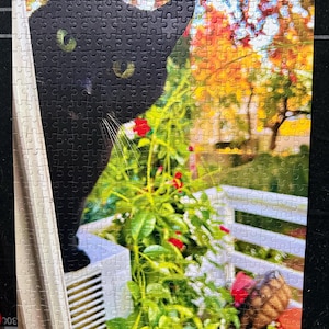 xainab added a photo of their purchase