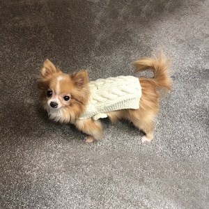 XXXS Dog Sweater, XXS Dog Coat, XXS Dog Clothes, Tiny Dog Sweater