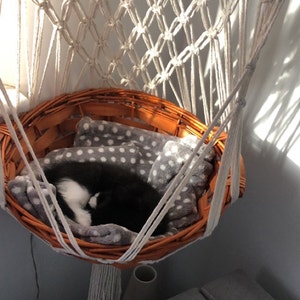 Maria added a photo of their purchase