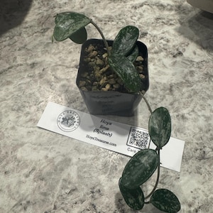Kelli added a photo of their purchase