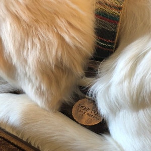 Asha added a photo of their purchase