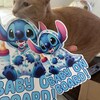 Cruise Magnet Decor, Princess Cinderella, Ariel, Elsa, Tiana, Snow ...