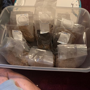 Paul added a photo of their purchase