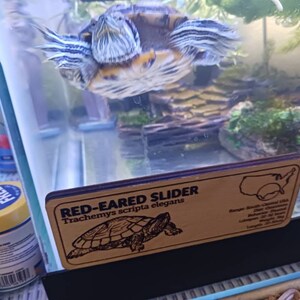 Aedan added a photo of their purchase