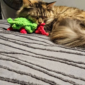 Sharon added a photo of their purchase