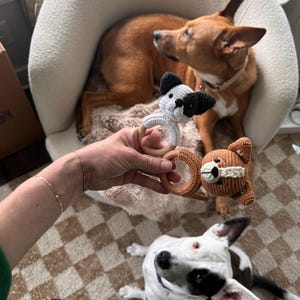 Megan added a photo of their purchase