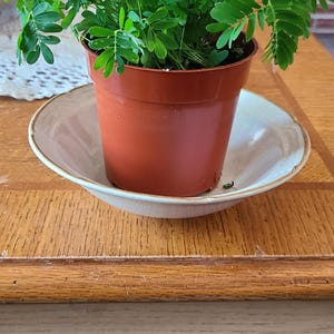 Beth added a photo of their purchase