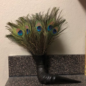 Joel added a photo of their purchase
