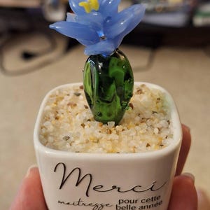 Anaïs added a photo of their purchase
