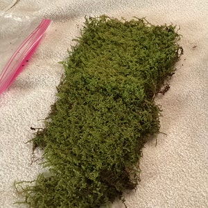 Lynda added a photo of their purchase