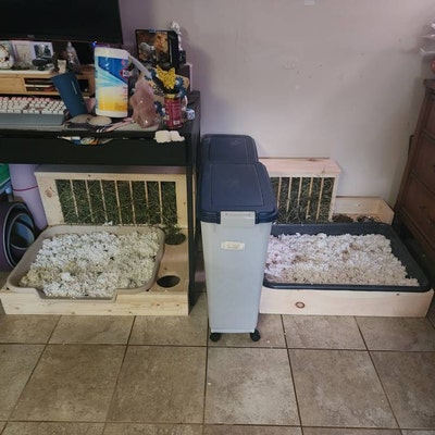 Rabbit Litter Pan With Base - Etsy