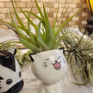 Cheri added a photo of their purchase