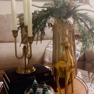 Klaudeta added a photo of their purchase