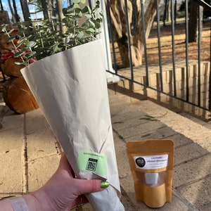 Allison added a photo of their purchase