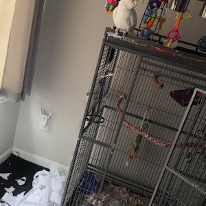 Donna heeft een foto van de aankoop toegevoegd