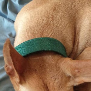 Viviane added a photo of their purchase