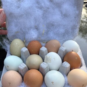 Jessica heeft een foto van de aankoop toegevoegd