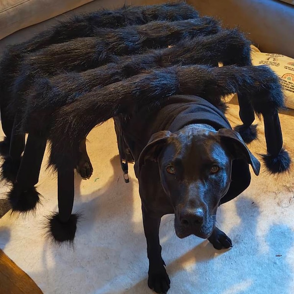 Giant Mutant Spider Dog Costumecreepy Spider Costume for Small and
