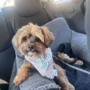 Amber added a photo of their purchase