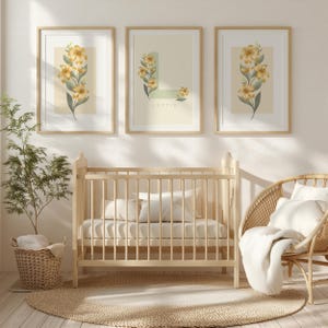 Noël added a photo of their purchase