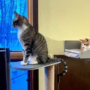 nrthcstr added a photo of their purchase