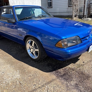 Jordan added a photo of their purchase