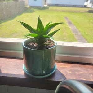 Timothy added a photo of their purchase