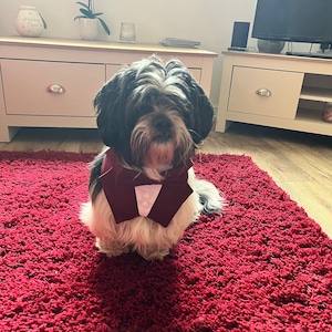 Helen added a photo of their purchase