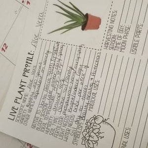 Inactive account added a photo of their purchase