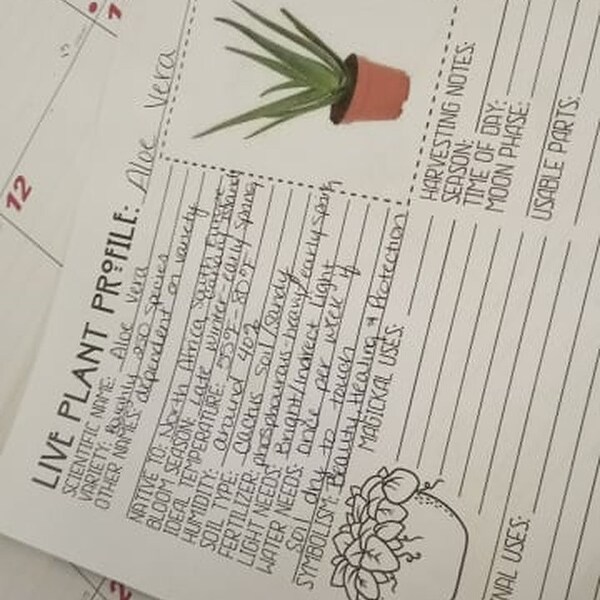 Live Plant Printable Pages | Printable PDF | Plant ID | Plant Care ...