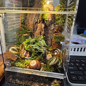 Kiley added a photo of their purchase