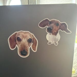 Michelle さんが購入した商品の写真を追加しました