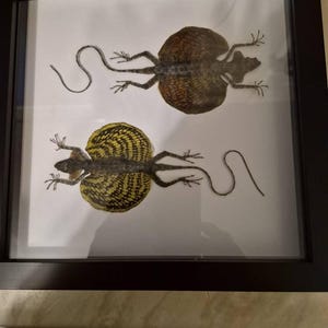 Michelle added a photo of their purchase