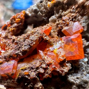 Marci added a photo of their purchase