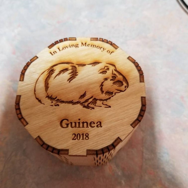 Personalised Pet Cremation Urn Guinea Pig Etching Natural Etsy