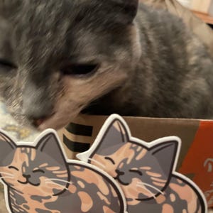 E added a photo of their purchase