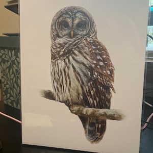 Angelee added a photo of their purchase