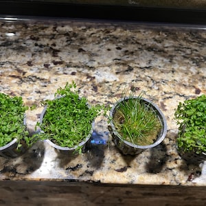 Monique added a photo of their purchase