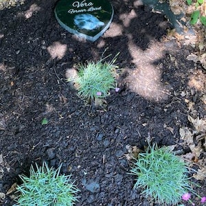 Christine added a photo of their purchase