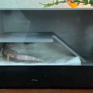 Reykjavik added a photo of their purchase