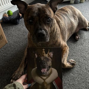 Toni added a photo of their purchase