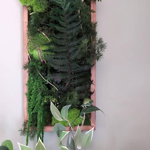 Aurore added a photo of their purchase