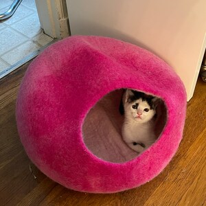 Rachel added a photo of their purchase