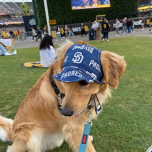 Dog Hat SD Padres Sports Fabric 