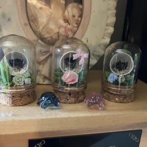 Kathryn added a photo of their purchase