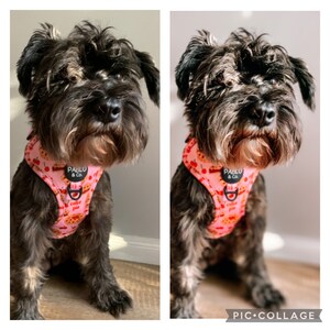 Tully added a photo of their purchase