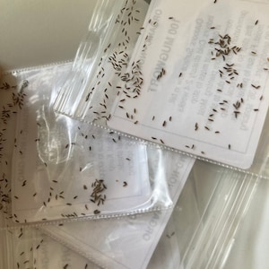 Angelica's added a photo of their purchase
