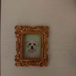Katie added a photo of their purchase