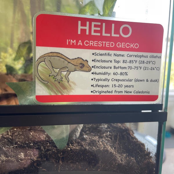 Photo inspiration: Printable Critter Tracker Reptile Feeding Tracker Photo Inspiration