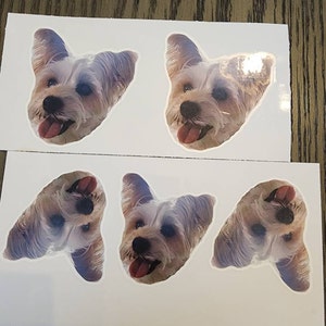 Danielle added a photo of their purchase